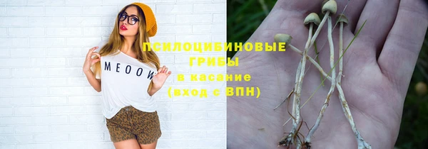 спайс Алексеевка